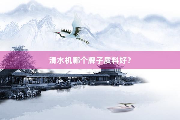 清水机哪个牌子质料好？