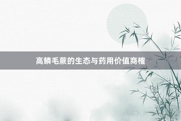 高鳞毛蕨的生态与药用价值商榷